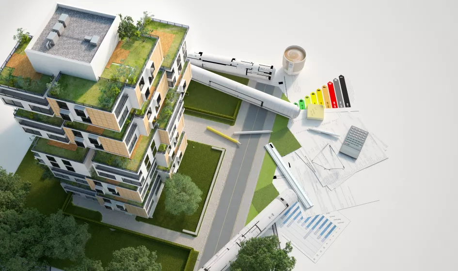 standardisation image principale